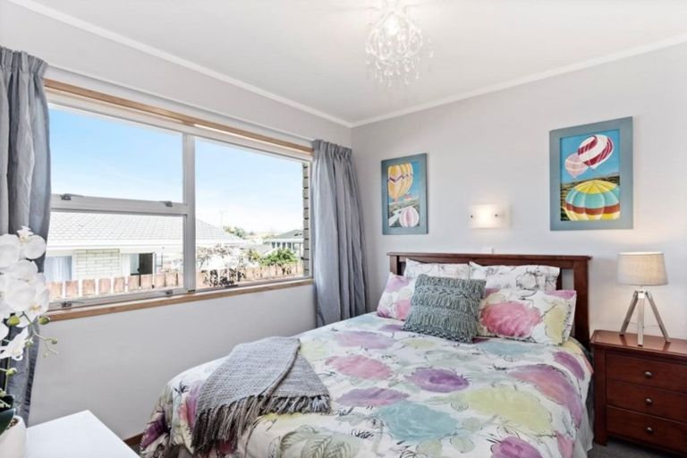 Photo of property in 38 Twentythird Avenue, Gate Pa, Tauranga, 3112