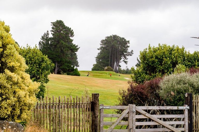 Photo of property in 14 Highgrove, Saint Clair, Dunedin, 9012