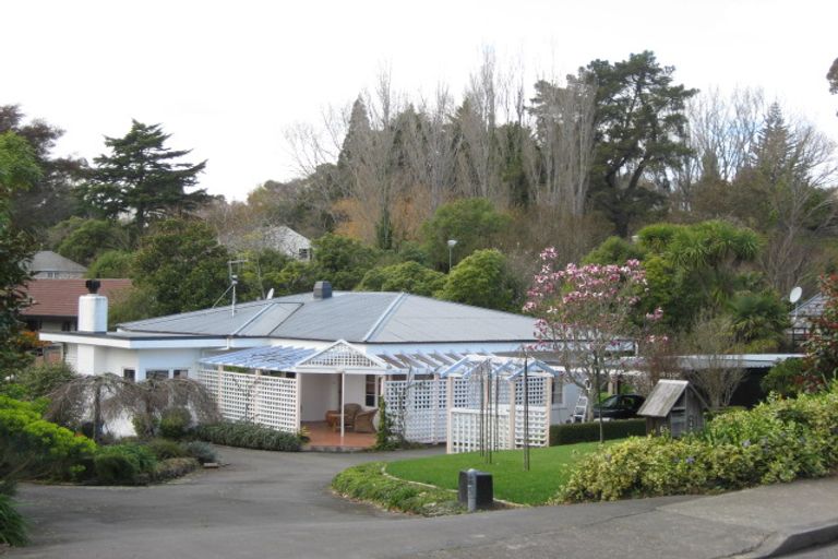 Photo of property in 81 Mchardy Street, Havelock North, 4130