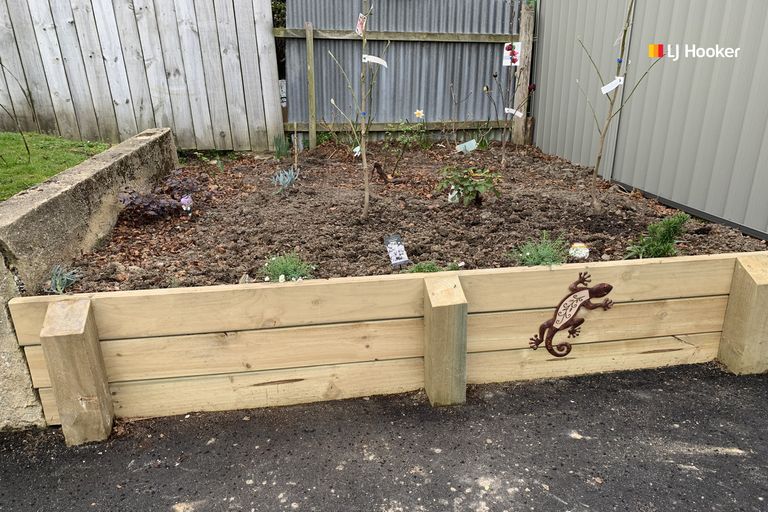 Photo of property in 24 Ross Street, Roslyn, Dunedin, 9010