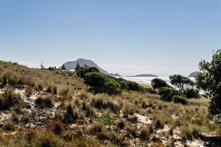 Photo of property in 20 Paterson Street, Mount Maunganui, 3116