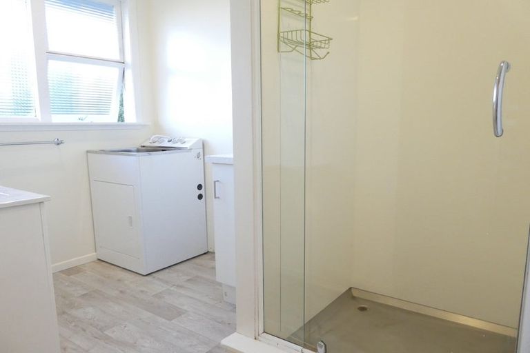 Photo of property in 133 Britomart Street, Berhampore, Wellington, 6023