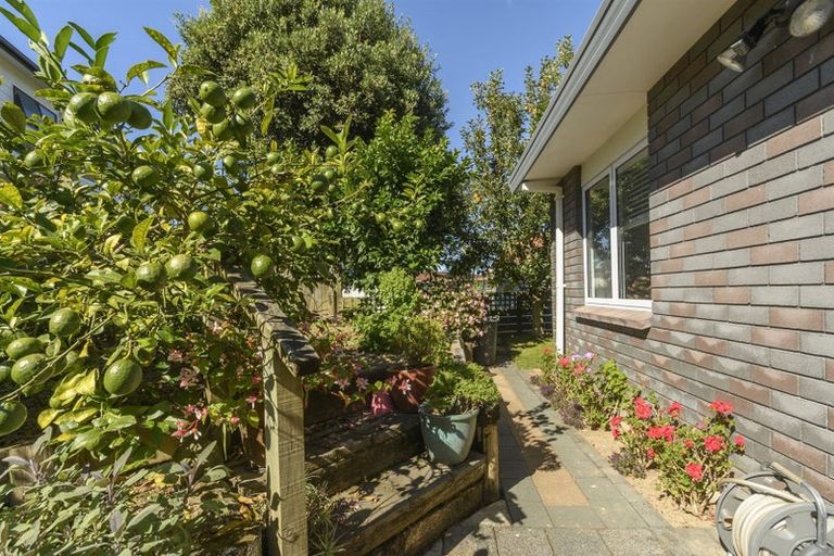 Photo of property in 27 Tarata Street, Matua, Tauranga, 3110