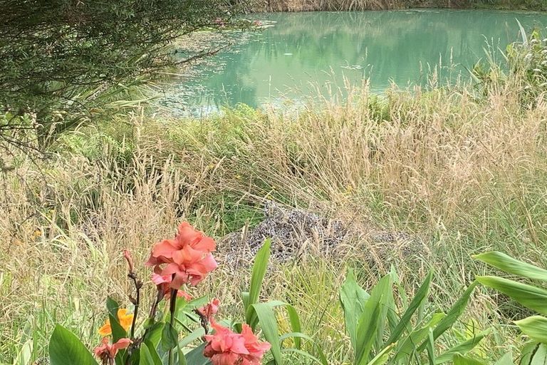 Photo of property in 1665 Matapouri Road, Matapouri, Whangarei, 0173