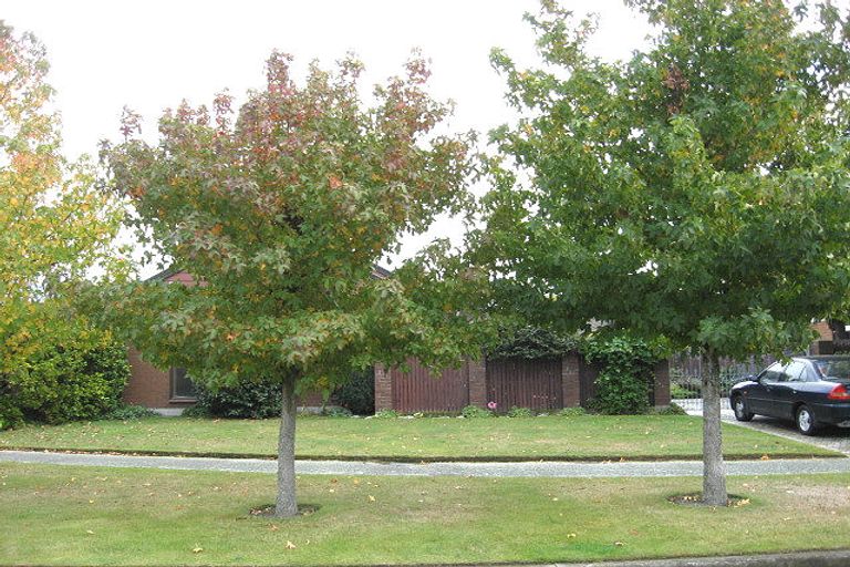 Photo of property in 31 Corfe Street, Ilam, Christchurch, 8041