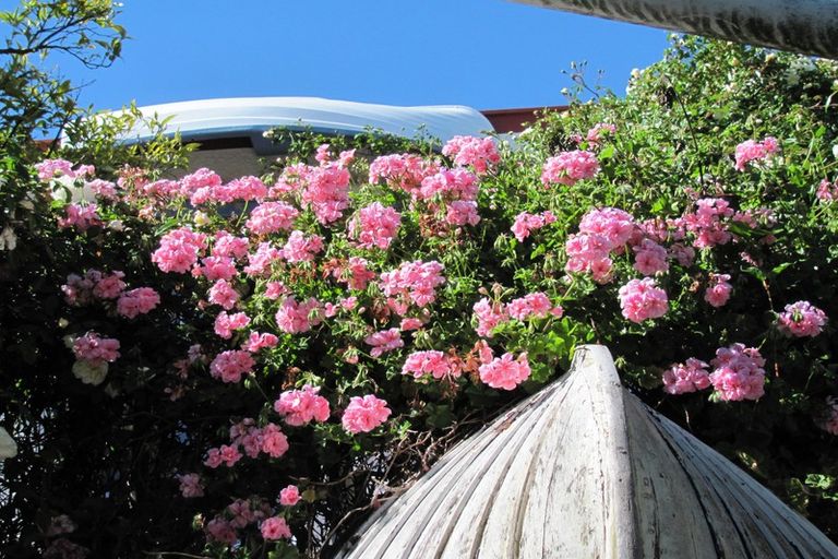 Photo of property in 16 Albert Road, Stepneyville, Nelson, 7010