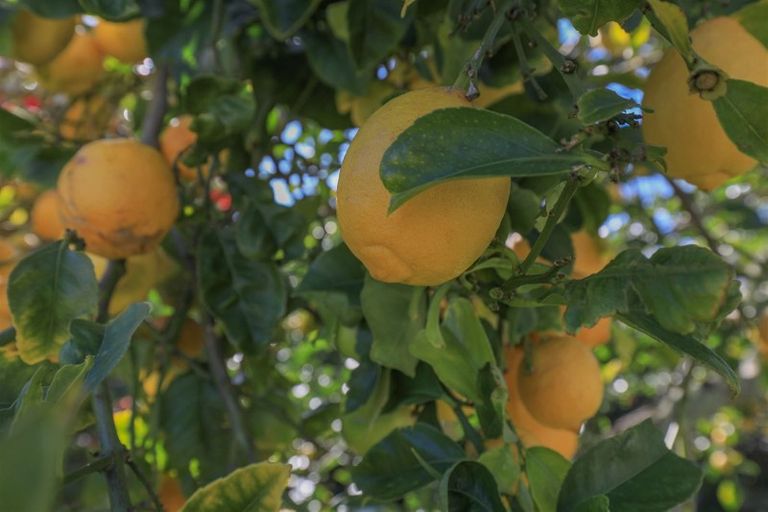 Photo of property in 30 Bailey Street, Huntly, 3700