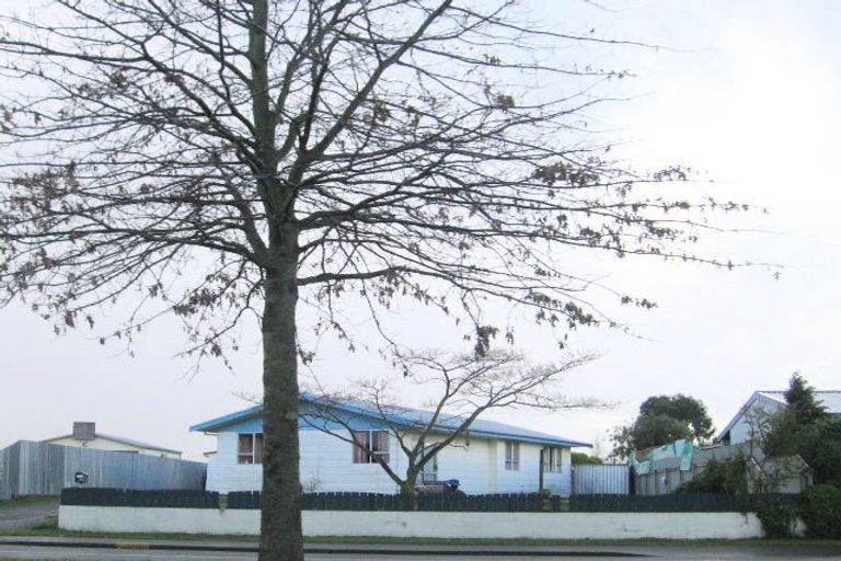 Photo of property in 276 Flaxmere Avenue, Flaxmere, Hastings, 4120