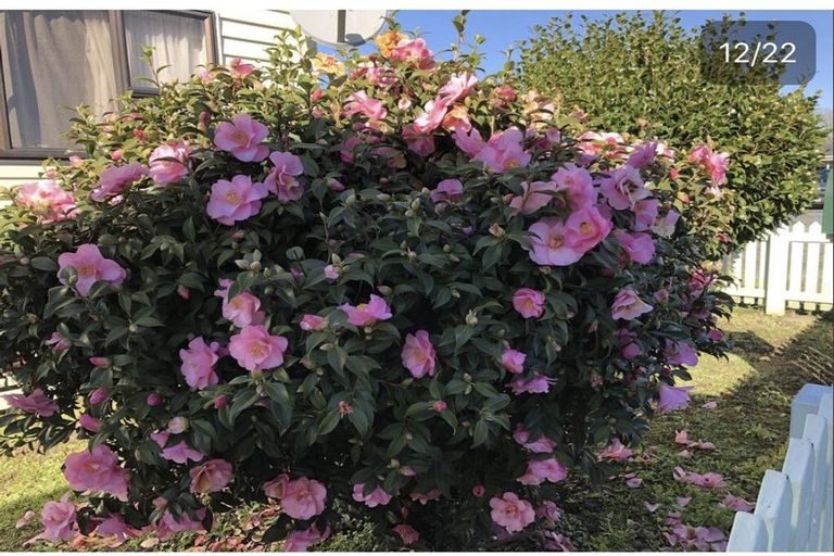 Photo of property in 10 Pokeno Road, Pokeno, 2402