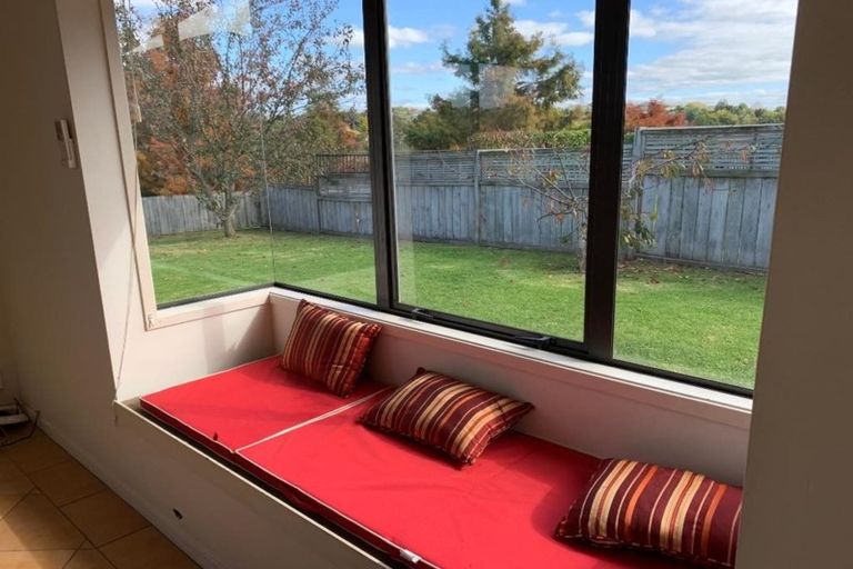 Photo of property in 81 Solomon Street, Brookfield, Tauranga, 3110