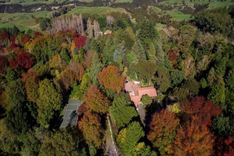 Photo of property in 582 Old Coach Road, Te Pohue, Napier, 4182