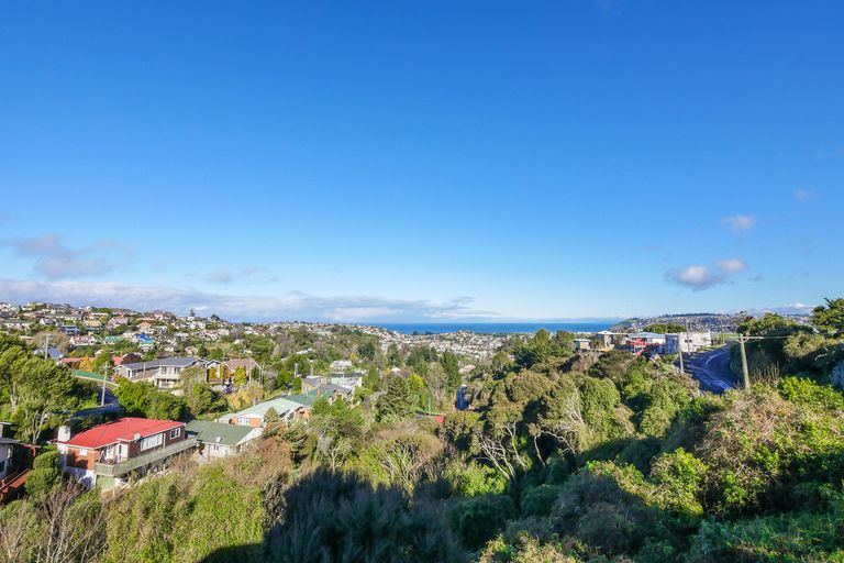 Photo of property in 101 Dunrobin Street, Waverley, Dunedin, 9013