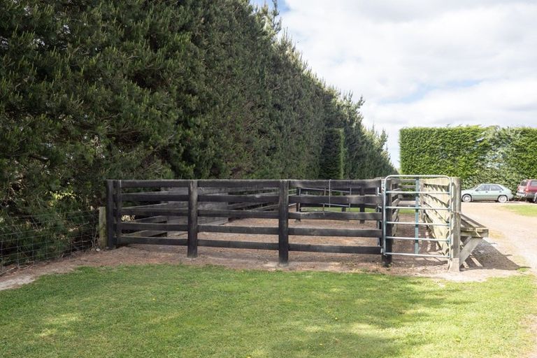 Photo of property in 569 Wakanui Road, Elgin, Ashburton, 7777