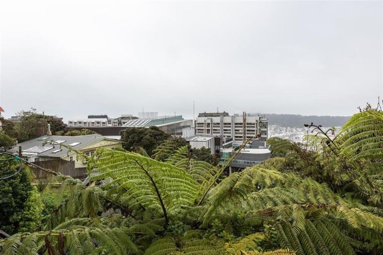 Photo of property in 80 Kelburn Parade, Kelburn, Wellington, 6012