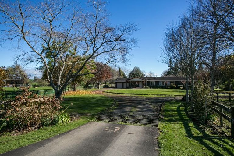 Photo of property in 66 Mill Road, Ohaupo, 3881