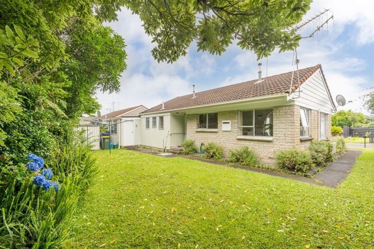 Photo of property in 10b Krippner Place, Dinsdale, Hamilton, 3204