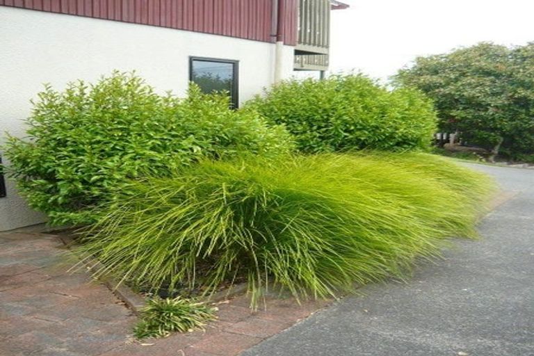 Photo of property in 1/39 Killarney Avenue, Torbay, Auckland, 0630