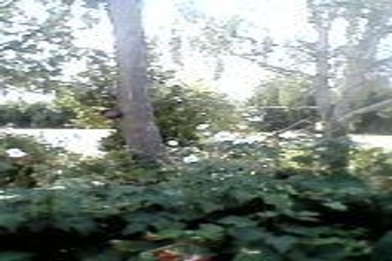 Photo of property in 6 Severn Street, Waitotara, Whanganui, 4588