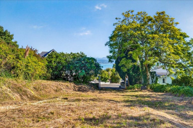 Photo of property in 19 Coleman Terrace, Hospital Hill, Napier, 4110