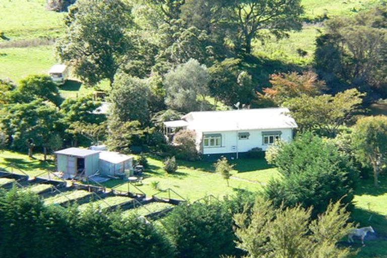 Photo of property in 459 White Pine Bush Road, White Pine Bush, Whakatane, 3192