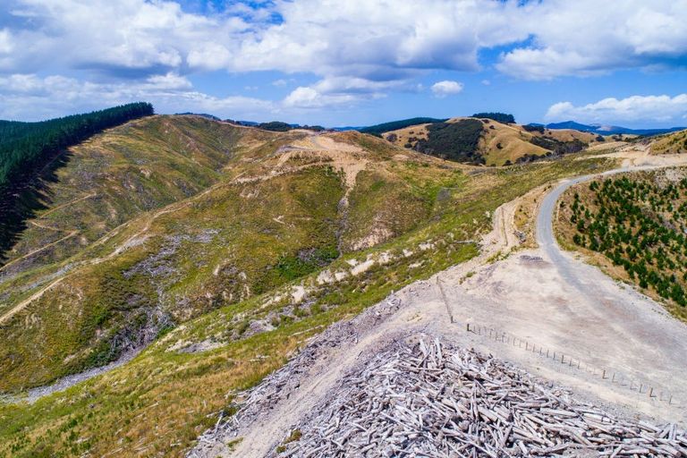 Photo of property in 3525 Masterton Castlepoint Road, Mangapakeha, Masterton, 5889