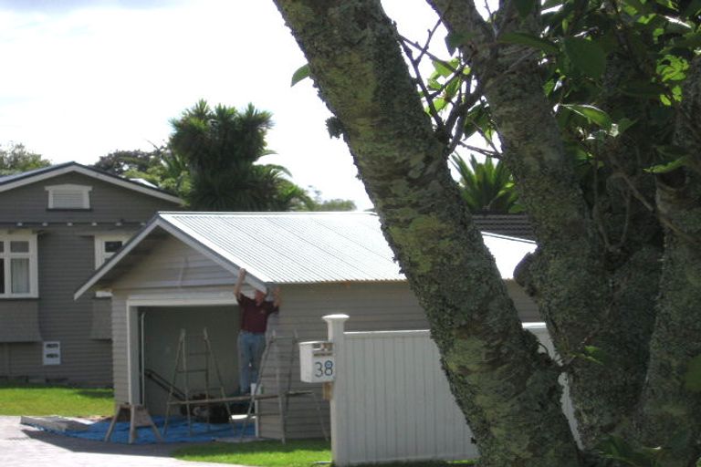 Photo of property in 38 Alexis Avenue, Mount Albert, Auckland, 1025