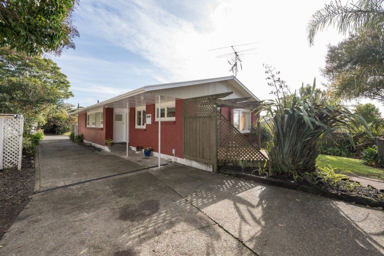 Photo of property in 29 Churchill Avenue, Richmond, 7020