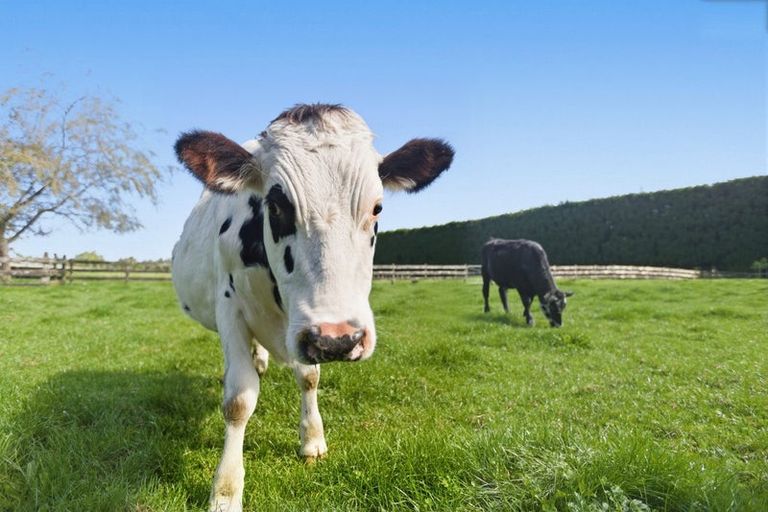 Photo of property in 207b Peers Road, Omanawa, Tauranga, 3171