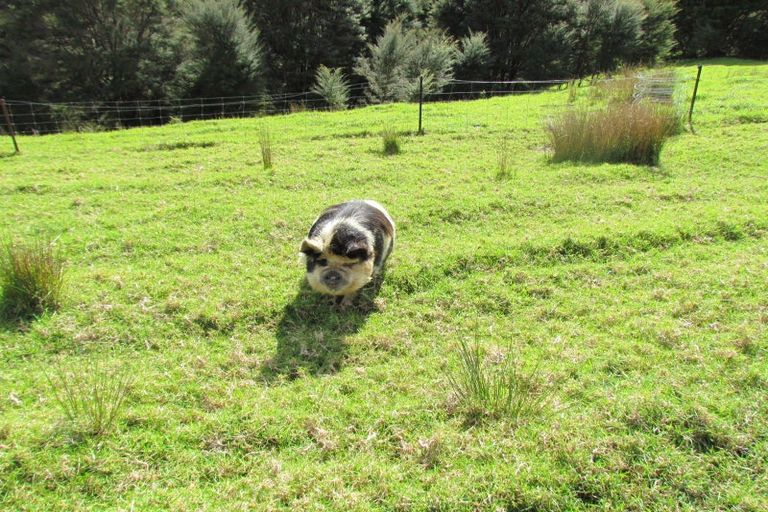 Photo of property in 227 Mangahui Road, Whareora, Whangarei, 0175