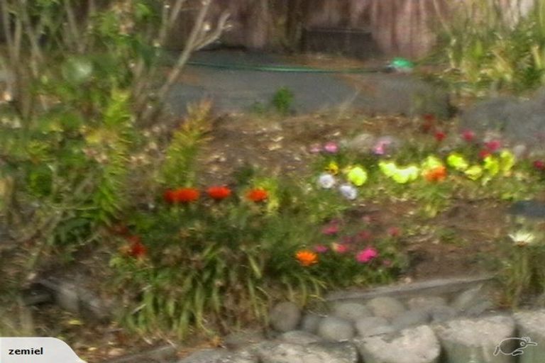 Photo of property in 56 Kawau Crescent, Bromley, Christchurch, 8062