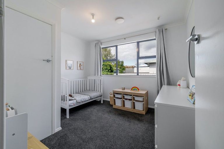 Photo of property in 486 Tremaine Avenue, Takaro, Palmerston North, 4410