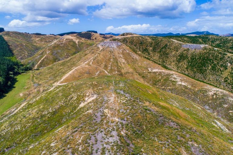 Photo of property in 3525 Masterton Castlepoint Road, Mangapakeha, Masterton, 5889