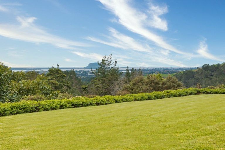Photo of property in 257f Whakamarama Road, Whakamarama, Tauranga, 3179