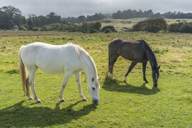 Photo of property in 576 Brighton Road, Westwood, Dunedin, 9035