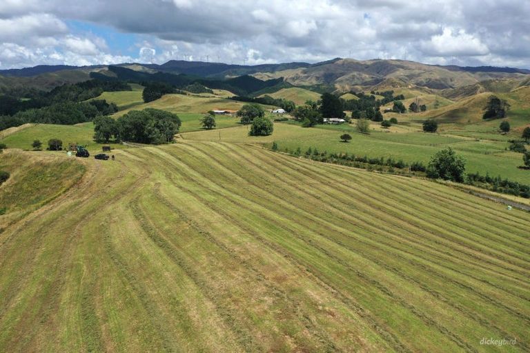 Photo of property in 211 Waitetuna Valley Road, Waitetuna, Raglan, 3295