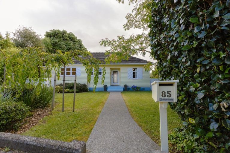 Photo of property in 85 Savage Crescent, West End, Palmerston North, 4412