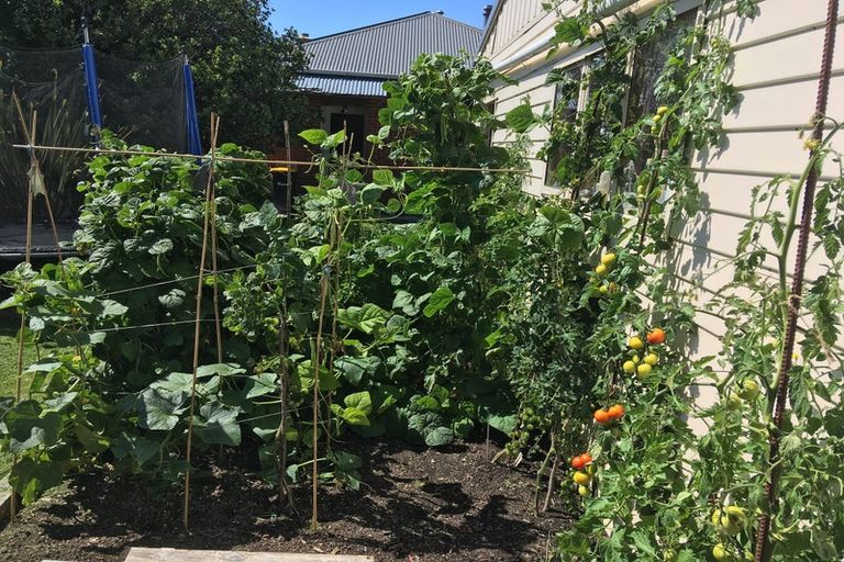 Photo of property in 262 Macandrew Road, Forbury, Dunedin, 9012