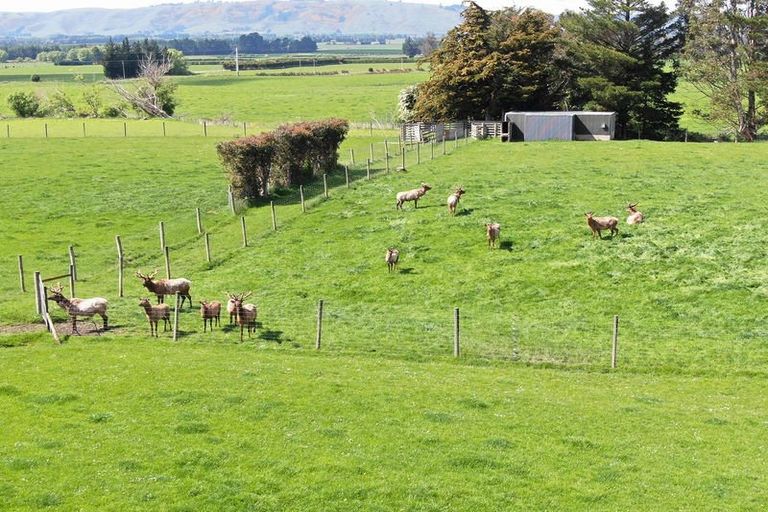 Photo of property in 68 Currie Road, Woodside, Outram, 9073