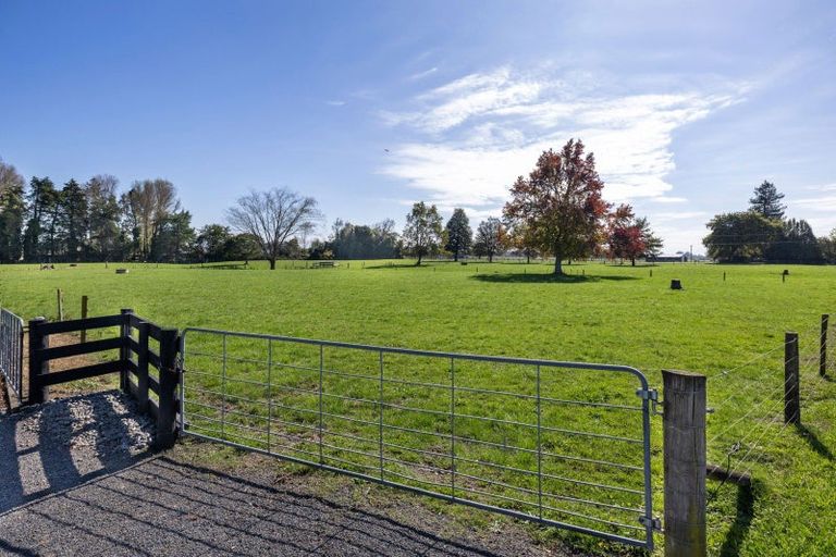 Photo of property in 16 Mill Road, Ohaupo, 3881