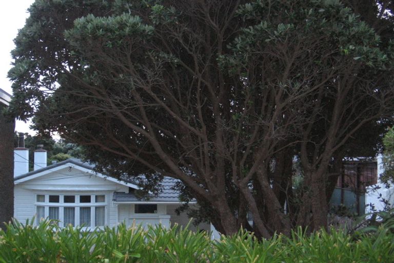 Photo of property in 15 Pinnacle Street, Seatoun, Wellington, 6022