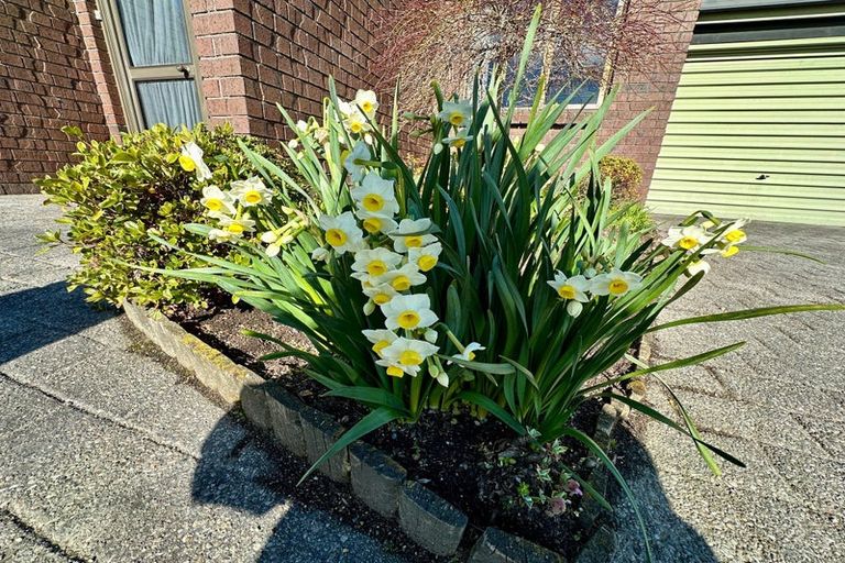 Photo of property in 22 Essex Street, Balclutha, 9230