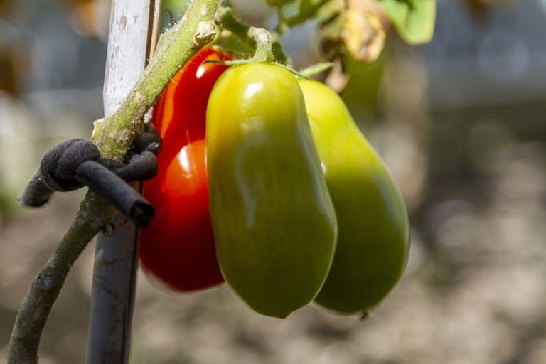 Photo of property in 1 Aqua Way, Paraparaumu, 5032