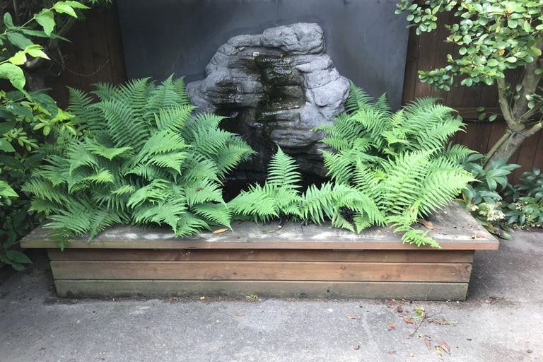 Photo of property in 39 Woodbury Street, Avonhead, Christchurch, 8042