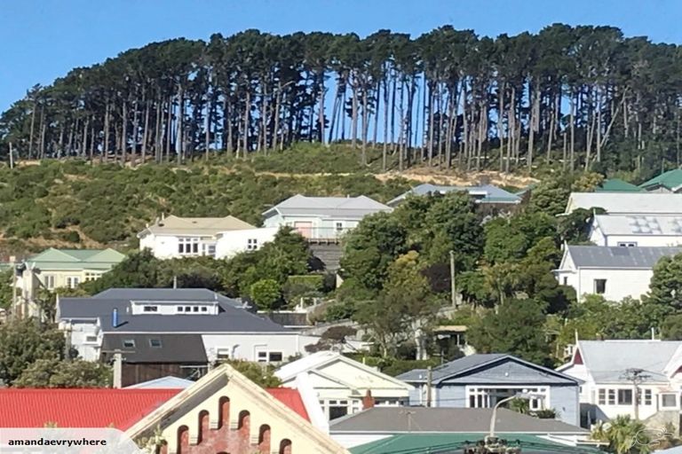 Photo of property in 16 Russell Terrace, Newtown, Wellington, 6021
