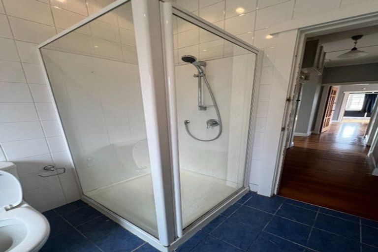 Photo of property in 3 Horne Street, Hamilton Central, Hamilton, 3204