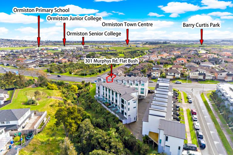 Photo of property in 301 Murphys Road, Flat Bush, Auckland, 2019