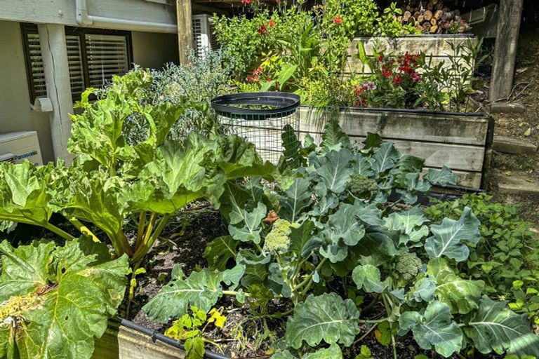 Photo of property in 5 Reynolds Place, Torbay, Auckland, 0630