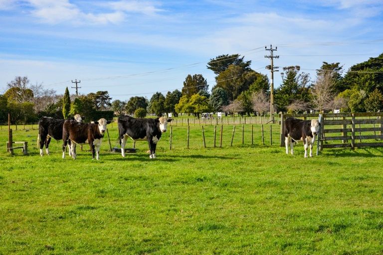 Photo of property in 185 Eriksen Road, Awatoto, Napier, 4110