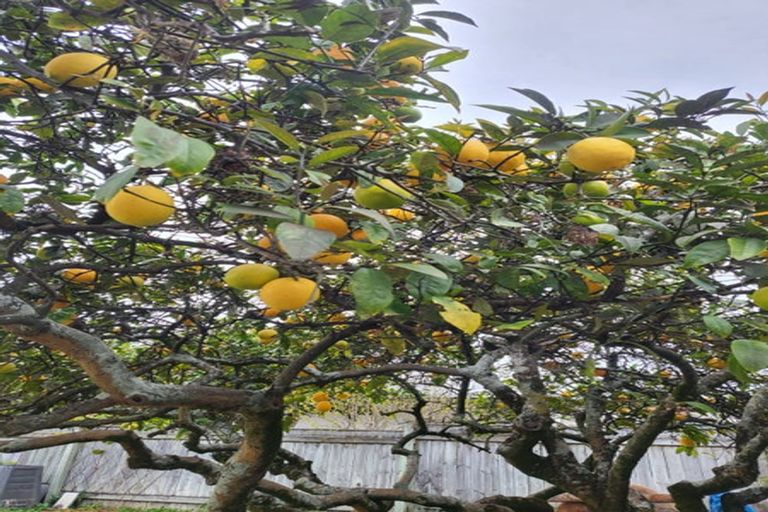 Photo of property in 1a Herrick Street, Marewa, Napier, 4110