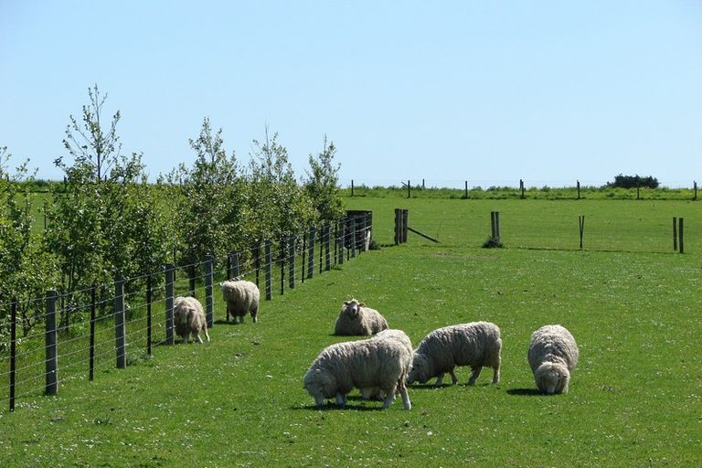 Photo of property in 488 Woodlands South Road, Rimu, Invercargill, 9871